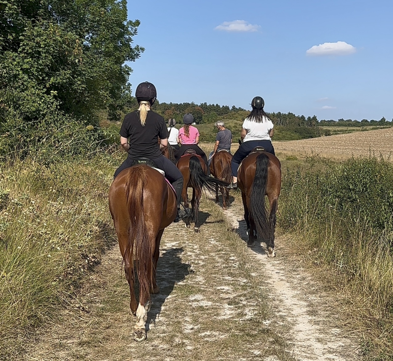 Immersion équestre 100 % femmes – balade à cheval et soins des chevaux entre filles